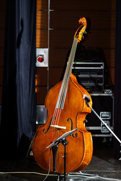 Big bass viol on the scene before the concert