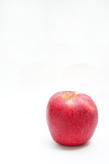 The apple red on white background style