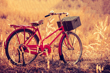 Fototapeta na wymiar beautiful landscape image with Bicycle at summer grass field.cla