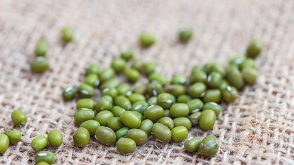 Mung bean