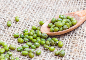 Mung bean