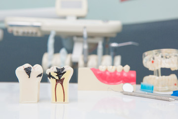 Dental Teeth Model and dental tool