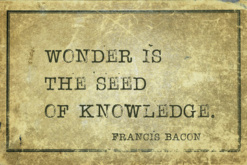 wonder is seed Bacon