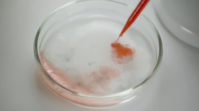 A pipette drips blood into a Petri dish