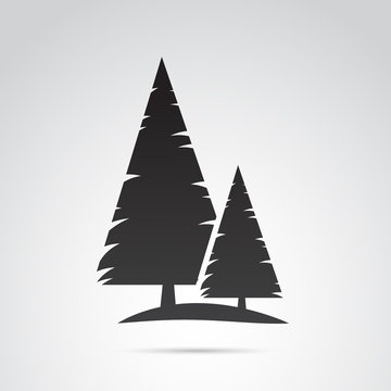 Pine tree vector icon.