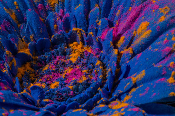 Holi flower
