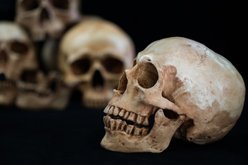 Obraz premium Awesome pile of skull on black background