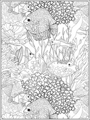 Fototapeta premium Pattern with decorative corals and sea or aquarium fish. Anti stress coloring book for adult. Outline drawing coloring page.