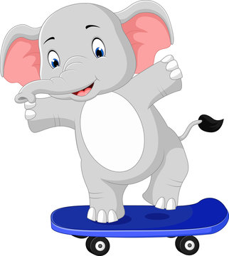 Cute elephant skateboard cartoon