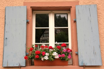 Fototapeta na wymiar nice window with blue shutters on a pink wall