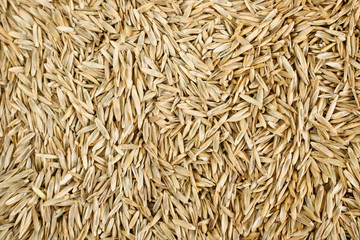 Naklejka premium Grass seed background texture