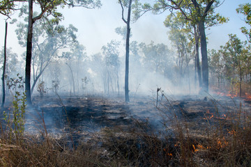 Waldbrand in Australien | Northern Territory
