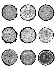 Set of cross section of trunks, vector illustration