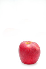 The apple red on white background style