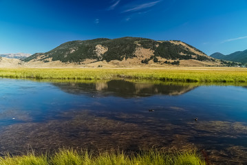 National Elk Refuge, Jackson MT