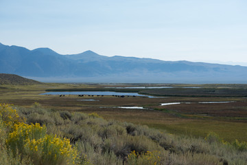 Crab Pot Hot Springs