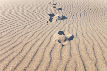 Lonely human footprints on sand. Desert or beach.
