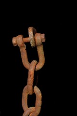 Obraz premium catena con grillo