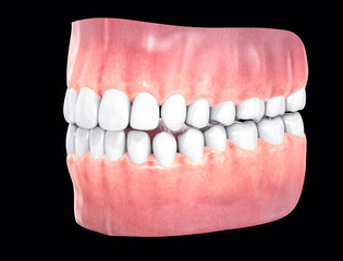3D Isolated Teeth. Tooths Dentistry Care Concept