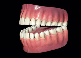 3D Isolated Teeth. Tooths Dentistry Care Concept