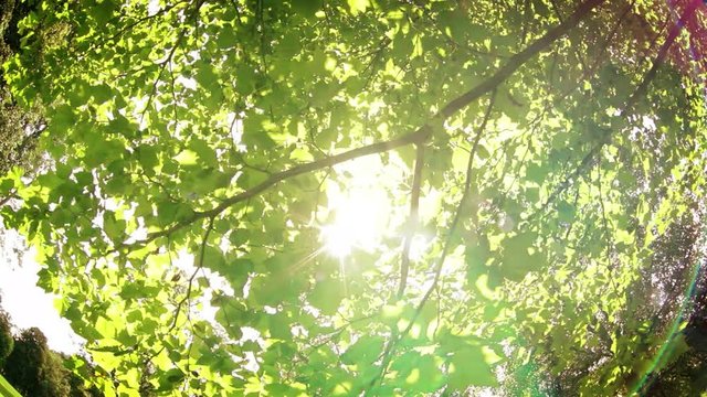 Boy lying on the ground trying to nap and squints as sun gets in his eyes