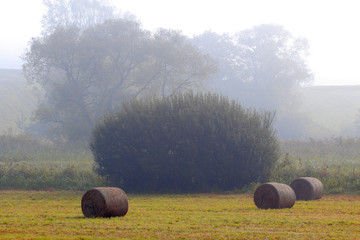 Jesienne Sianokosy © Wojciech Lisiński