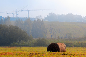 Jesienne Sianokosy © Wojciech Lisiński