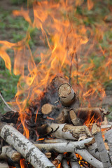 Burning wood, orange flames