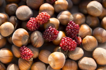 Nocciole e more ritardatarie