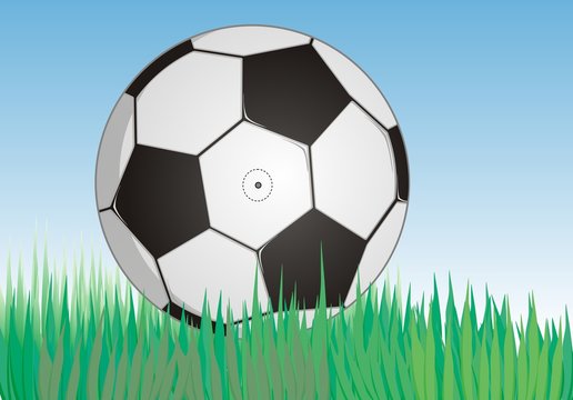 soccerball on fresh green grass under blue sky , vector editable 