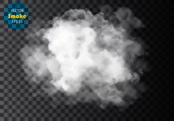 Foto op Plexiglas Mist of rook geïsoleerd transparant speciaal effect. Witte vector bewolking, mist of smog achtergrond. vector illustratie © poppystyle