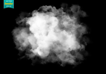 Fog or smoke isolated transparent special effect. White vector cloudiness, mist or smog background. Vector illustration © poppystyle