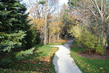 Fototapeta premium Autumn Park