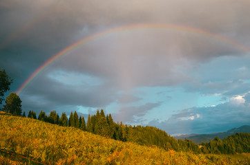 Rainbow in the mountain valley after rain. Beautiful landscape in Carpathians. Ukraine