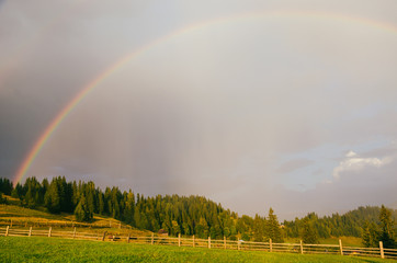 Rainbow in the mountain valley after rain. Beautiful landscape in Carpathians. Ukraine