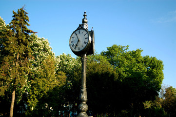 Fototapeta na wymiar Clock in the park on a background of sky. Clock in the park on a background of green trees