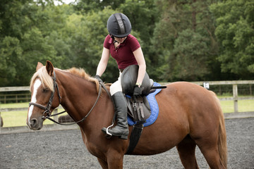 A rider tightens the girth on a saddle of a pony - September 2016 - A young girl ridng a Chestnut...