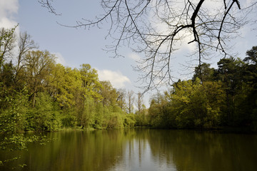 See im Sonnenschein in einem Wald