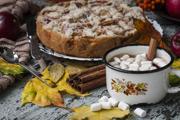 Hot chocolate with marshmallows and spices
