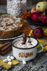 Hot chocolate with marshmallows and spices