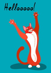 illustration with a cat hello