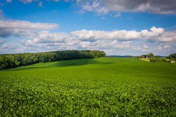 View of farm fields in rural Baltimore County, Maryland.
