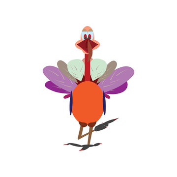 Thanksgiving colorful Turkey, vector illustration. Thanksgiving cartoon turkey bird isolated on a white background.
