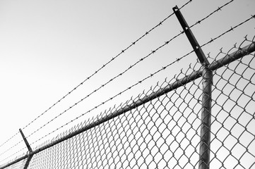 Barb Wire Fence