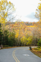 Obraz premium acadia national park