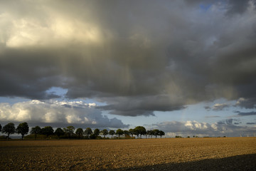 Regenwolken über einem Feld im Sommer
