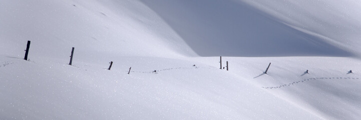 Panoramique d'un pré enneigé