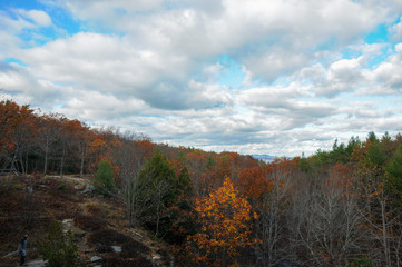Fototapeta premium acadia national park