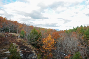 acadia national park