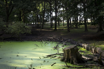 Green lake